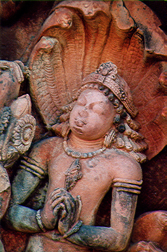 नागबलि पूजन (उज्जैन)